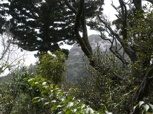 b0190242_262716.jpg