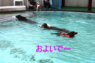 伊豆でトコトコ~♪_e0195743_055492.jpg