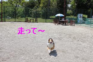 伊豆でトコトコ~♪_e0195743_0555539.jpg