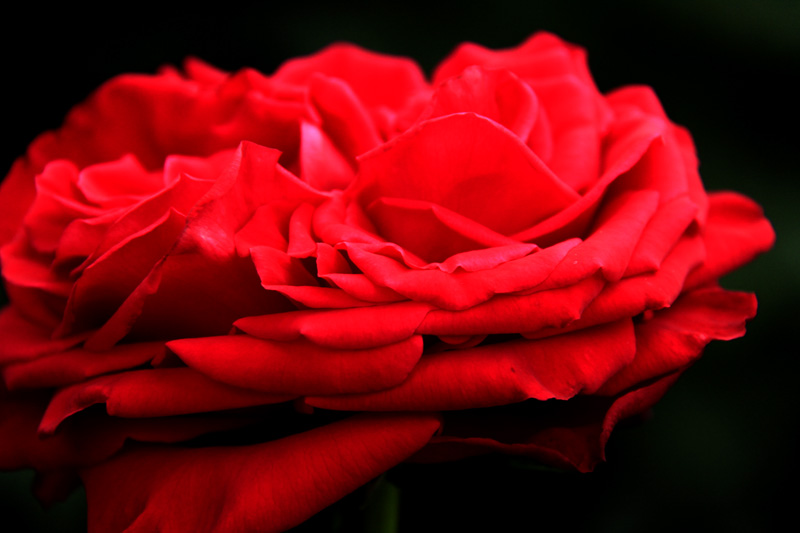 b0016545_22153484.jpg