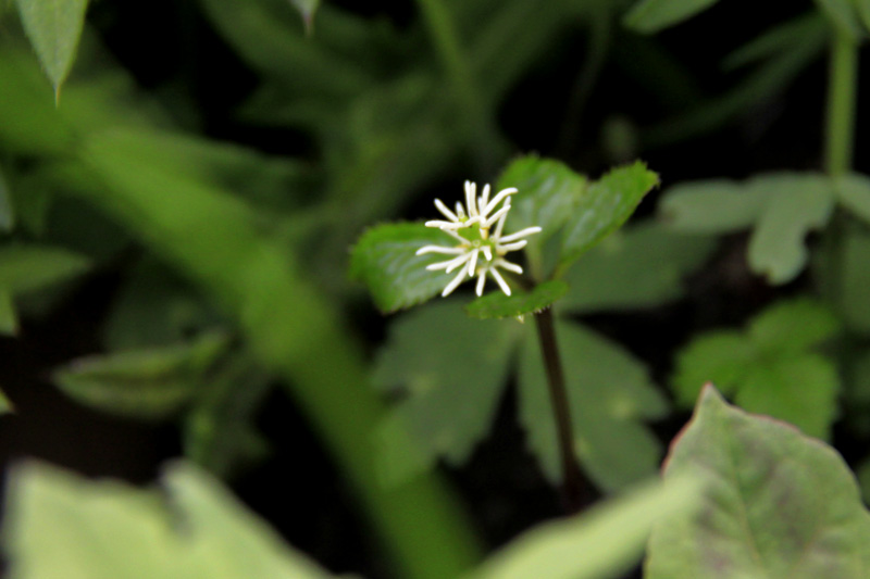 b0016545_2215579.jpg