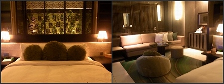 W Retreat & Spa Bali ～ Fantastic 1Bedroom Villa #35 ～ (\'11年3月)_a0074049_15173869.jpg