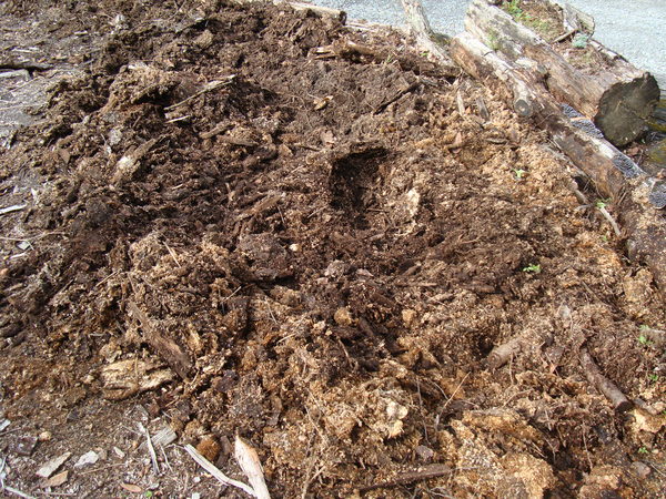 f0198556_00053.jpg