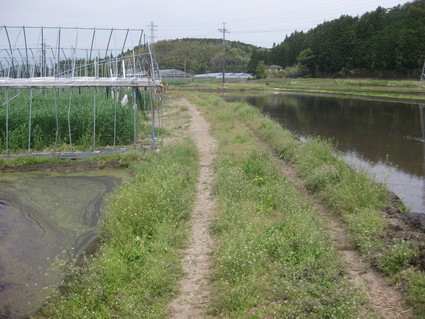 企画「大田原をもっと知ろう!」・・・その2、紫塚⑤。_b0063162_22543799.jpg