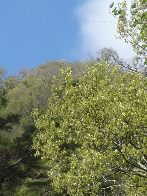 a0063364_09848.jpg
