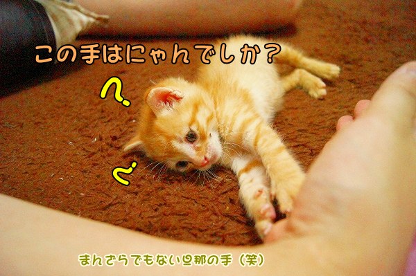 a0201967_23212878.jpg