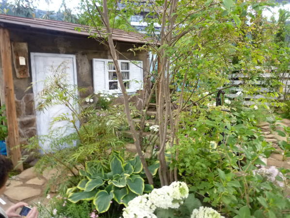 e0165577_1540181.jpg