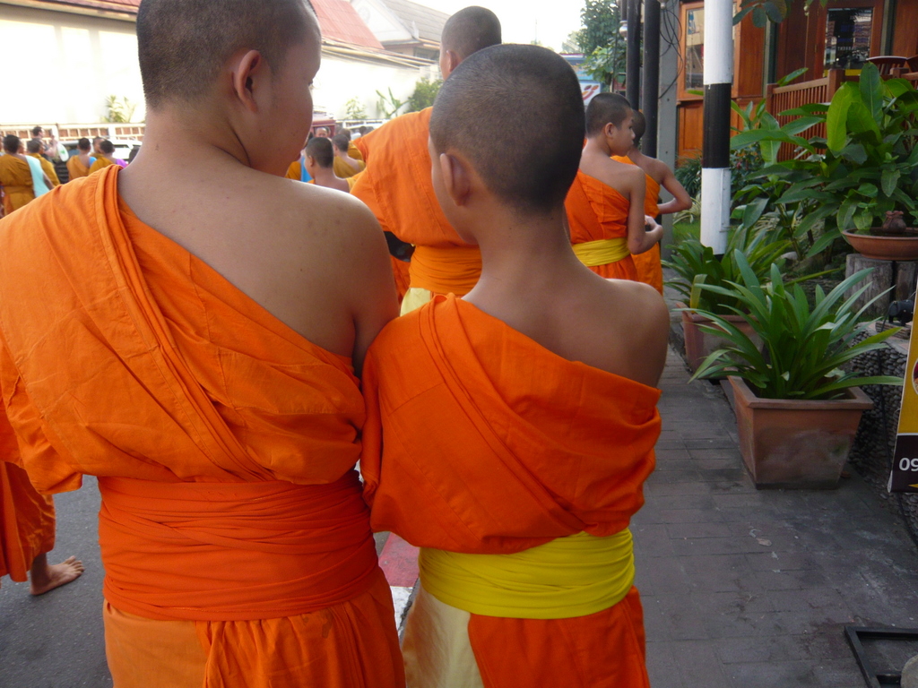 f0178278_9172546.jpg