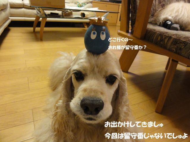 f0218182_23154071.jpg
