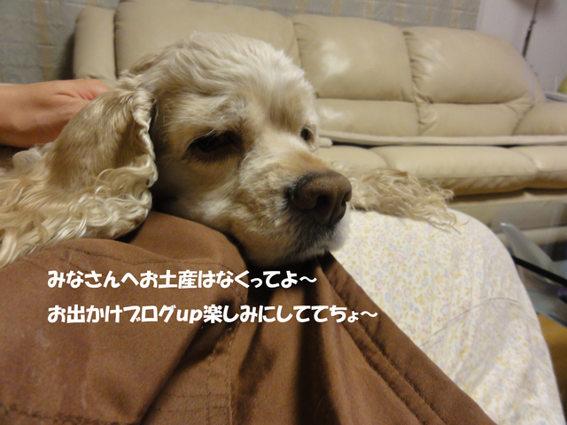 f0218182_2316245.jpg