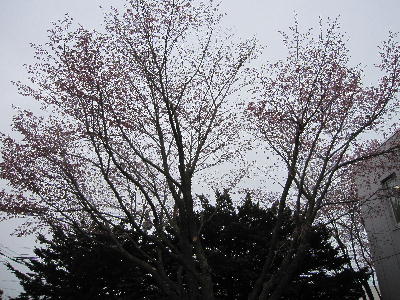 c0171889_16293445.jpg