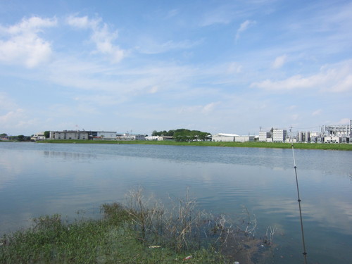 権現堂 バス釣り_b0200291_18202780.jpg