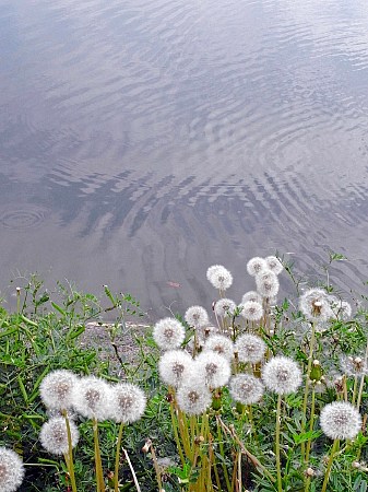 e0176993_7102120.jpg
