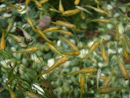 c0148401_17572384.jpg