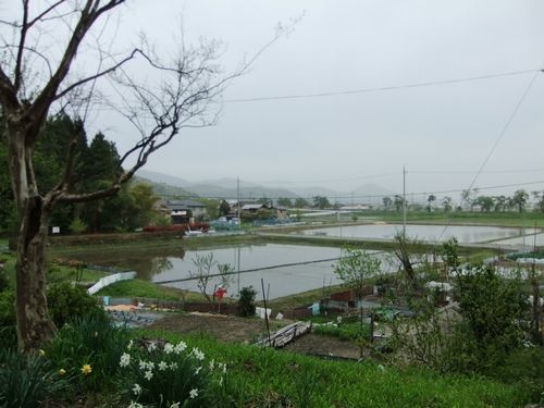 f0120102_8435462.jpg