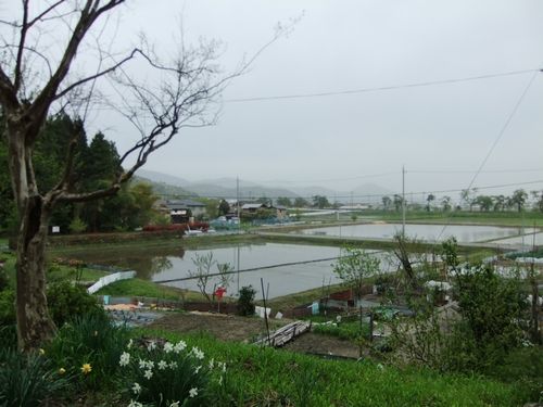 湖北「黒田観音寺」准胝観音菩薩立像_f0120102_8435462.jpg