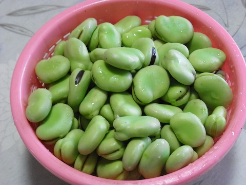 f0187402_2052190.jpg
