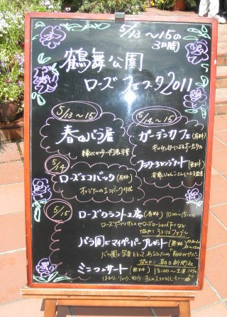 ローズフェスタ２０１１　in　鶴舞公園_c0152507_11161318.jpg