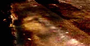 e0103408_13593684.jpg
