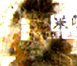 e0103408_17382456.jpg