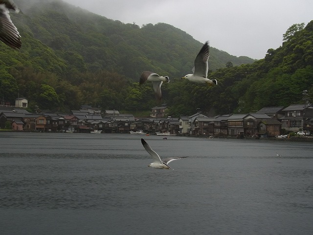 京都へ_c0157609_9225338.jpg