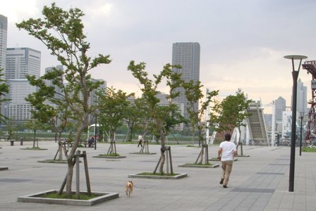 f0004309_2072778.jpg