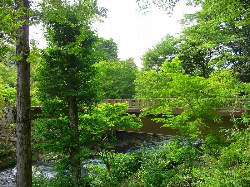 f0182513_21551516.jpg