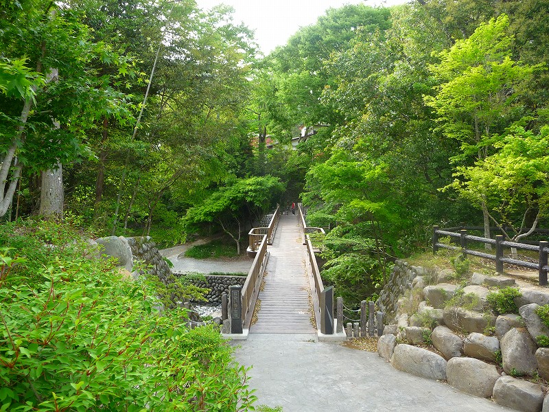 f0182513_215619.jpg
