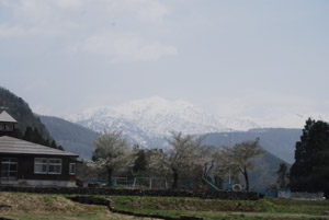 a0031714_1841746.jpg