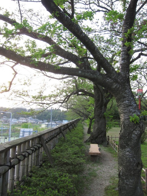 JAPAN TRIP 2011 ~The Park made me nostalgic~_c0120817_20135368.jpg