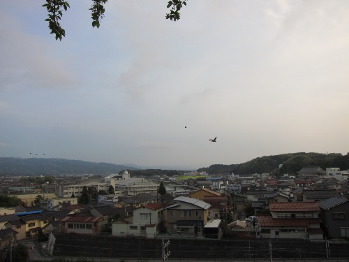 JAPAN TRIP 2011 ~The Park made me nostalgic~_c0120817_2018714.jpg