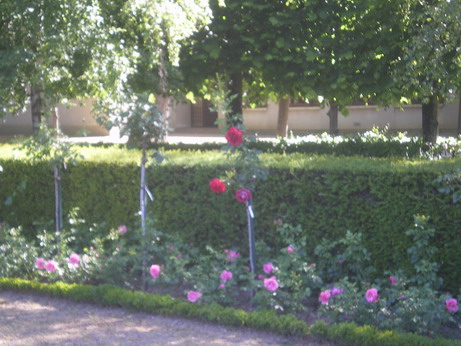 c0124619_3482040.jpg