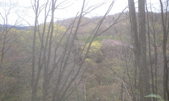 e0227023_0165234.jpg