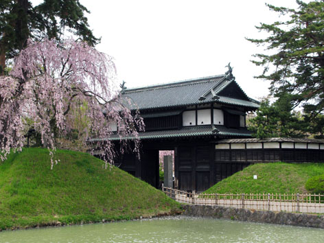 惜春・東北の旅 Ⅲ 弘前城編_f0129726_22483529.jpg