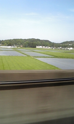 c0102727_853373.jpg