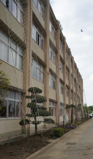 d0004728_2032262.jpg