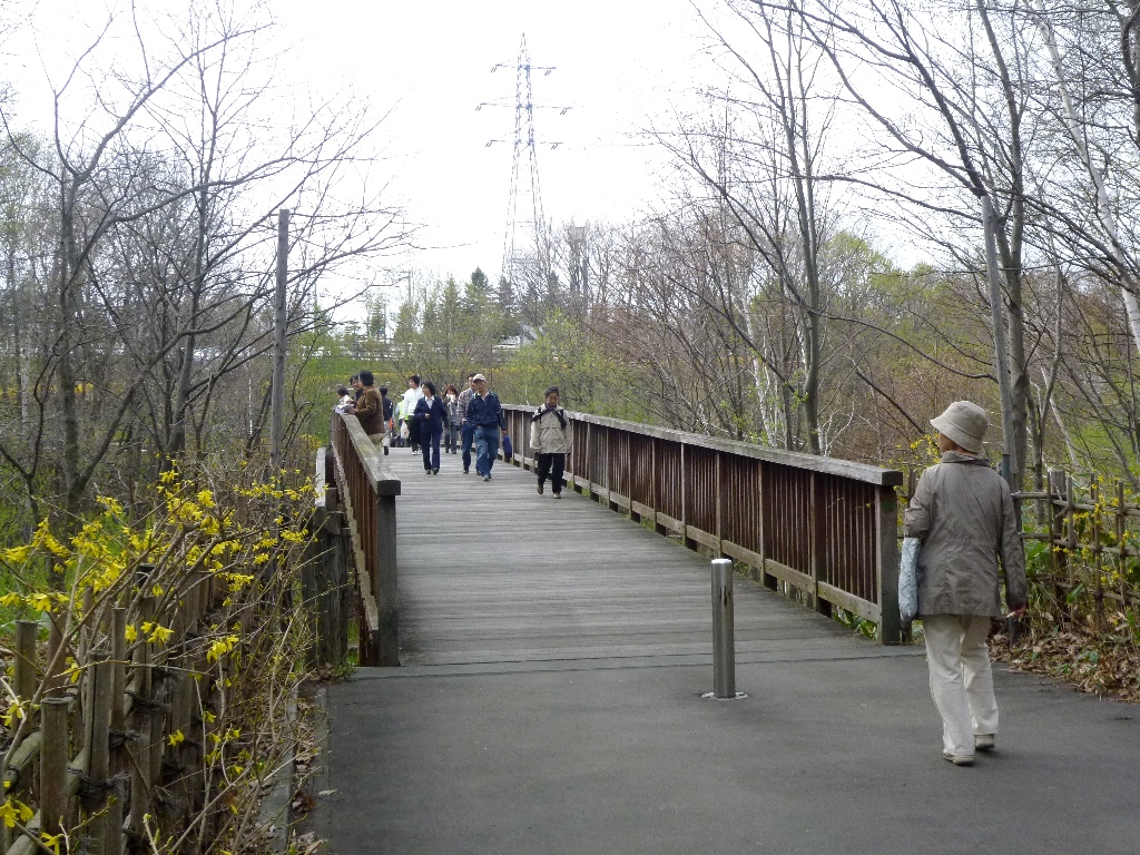 1546) 「平岡梅林公園　2011年5月12日（木）　晴」_f0126829_20483312.jpg