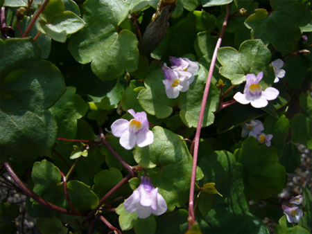 d0155731_20415851.jpg