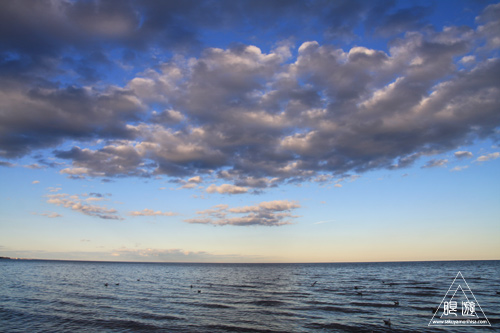 103 Scarborough Bluffs Park ~トロントの崖~_c0211532_2301038.jpg