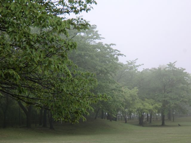 b0072234_031399.jpg