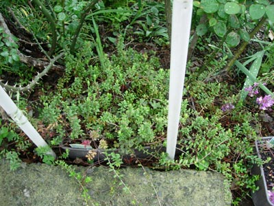 e0097534_21584193.jpg