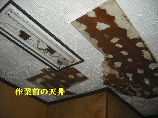 震災被害の作業・・屋根_f0031037_21161217.jpg