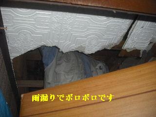 震災被害の作業・・屋根_f0031037_21184652.jpg