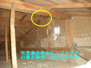 震災被害の作業・・屋根_f0031037_2124911.jpg