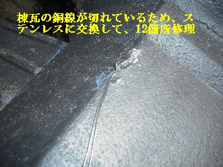 震災被害の作業・・屋根_f0031037_2185619.jpg