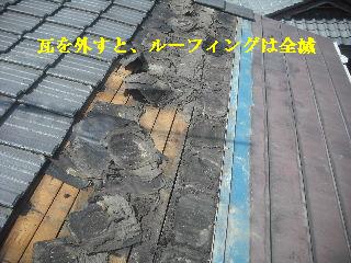 震災被害の作業・・屋根_f0031037_219952.jpg