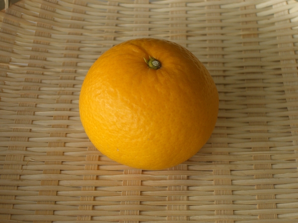 b0171839_1185583.jpg