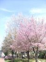 どこ?_e0172341_14253988.jpg