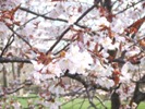 どこ?_e0172341_1462281.jpg