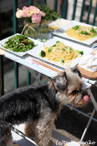 パスタランチ_c0024345_7585914.jpg